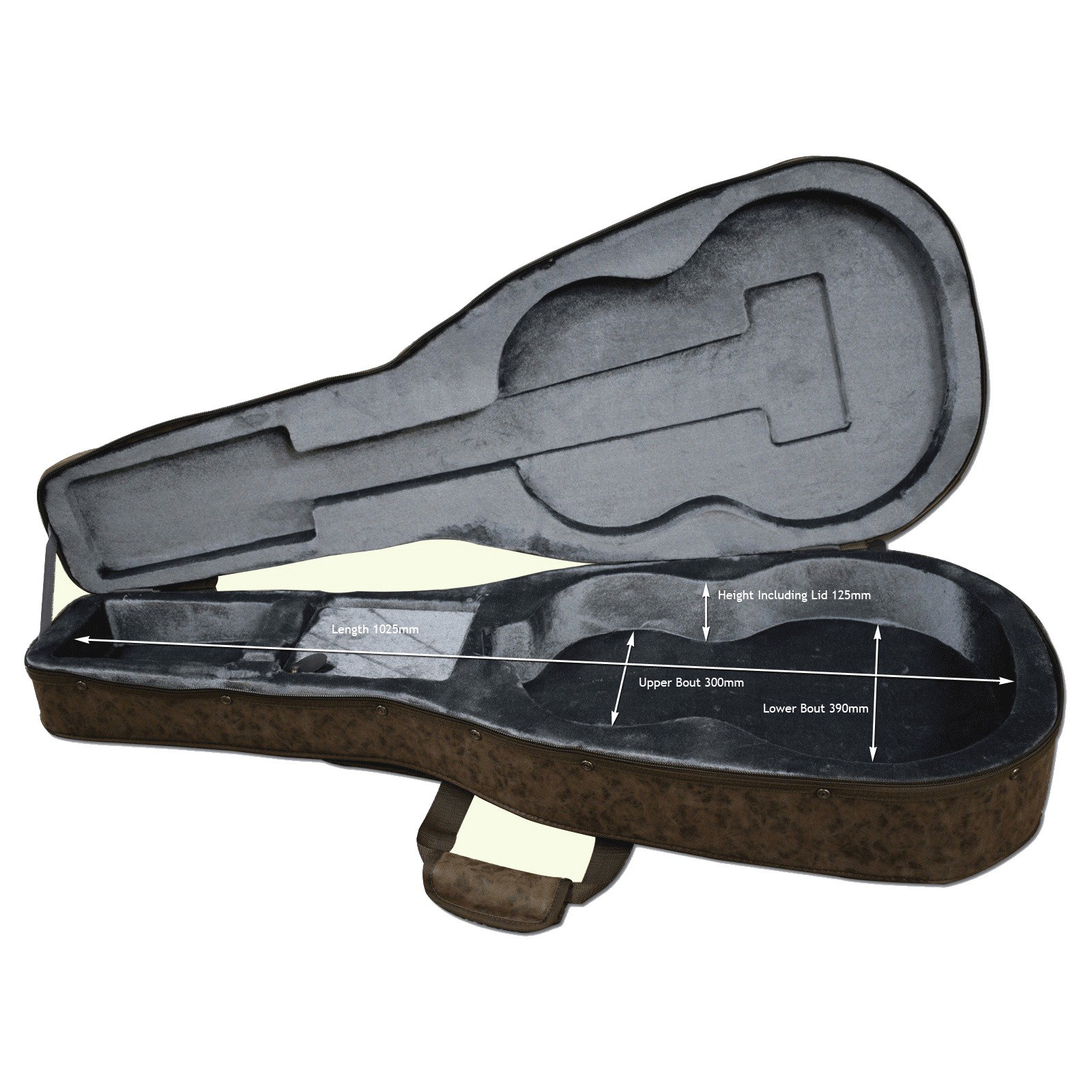 Ortega RCE159SN Classical Guitar Hard Case